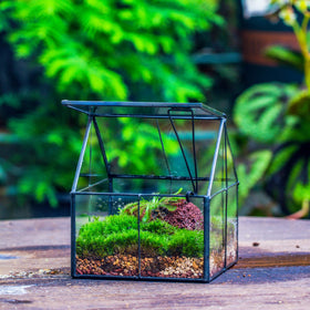 NCYP terrarium makes a thoughtful gift for plant lovers and colleagues.