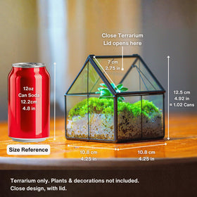 NCYP mini terrarium on a desk adds modern style to your workspace.