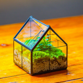 NCYP terrarium's glass and tin blend elevates shelf styling and home decor.