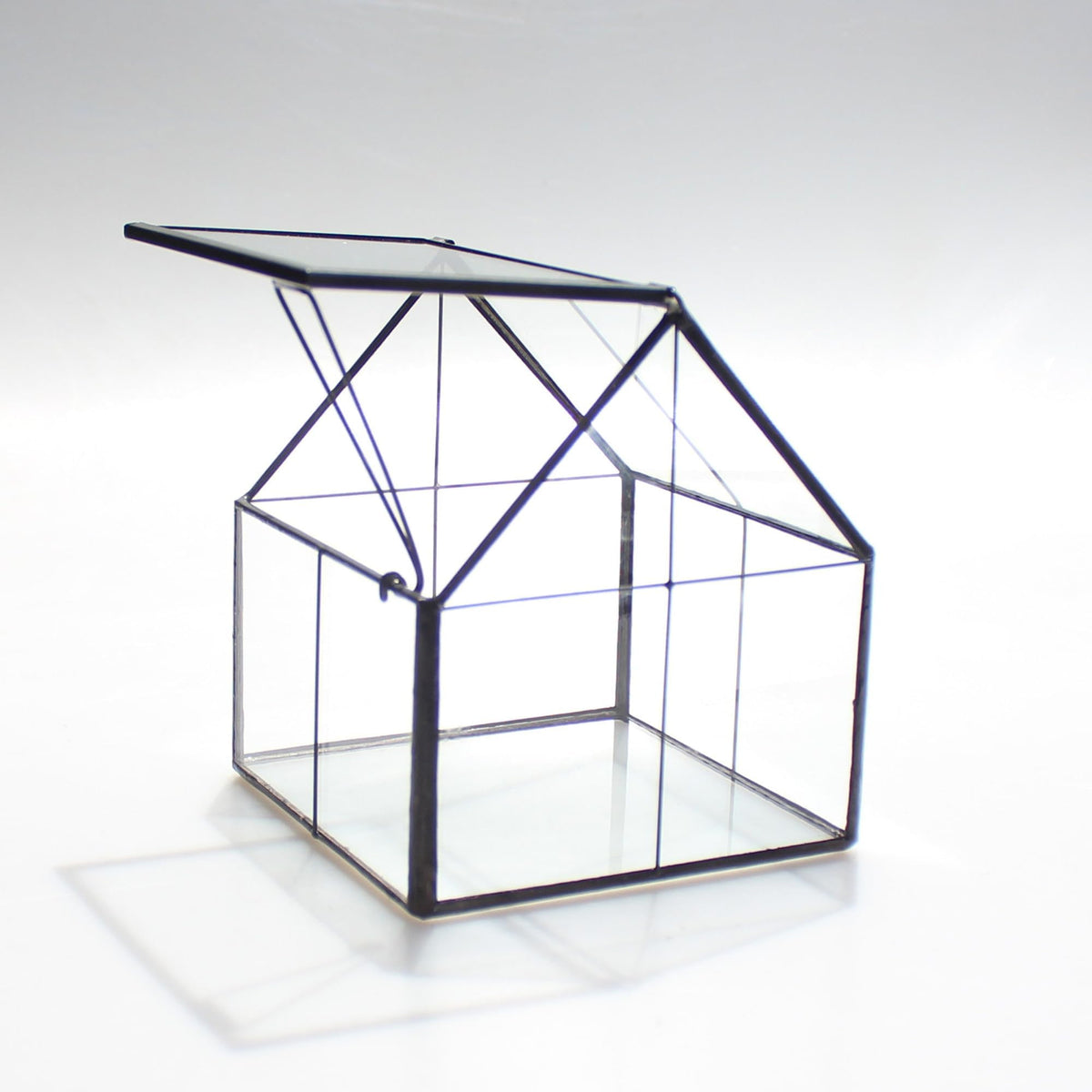 NCYP terrarium houses tiny succulents and decorative items in a clear glass frame.