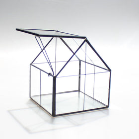 NCYP terrarium houses tiny succulents and decorative items in a clear glass frame.