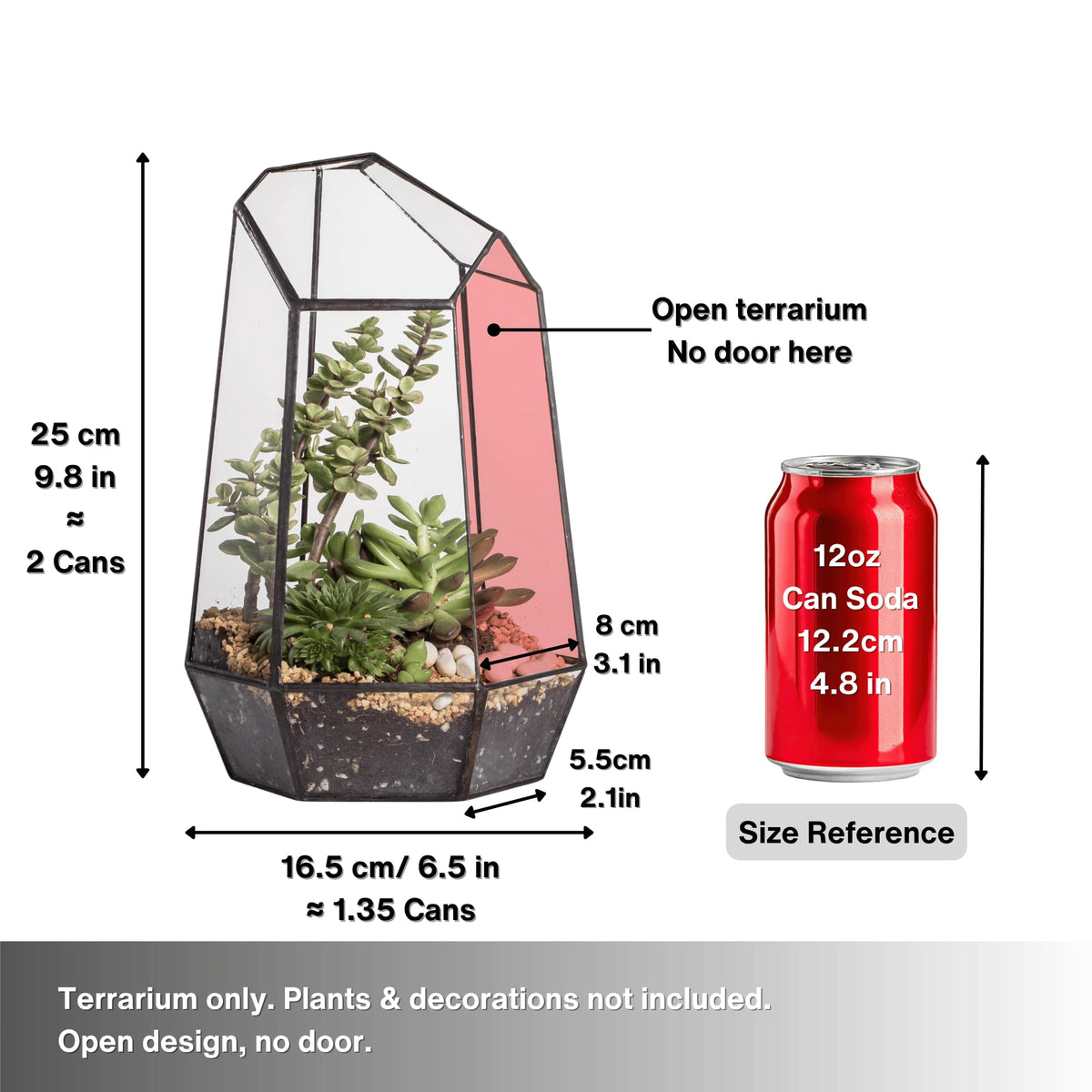 NCYP small succulent terrarium for desktop display.
