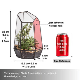 NCYP small succulent terrarium for desktop display.