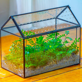 NCYP snail habitat interior view with space and ventilation