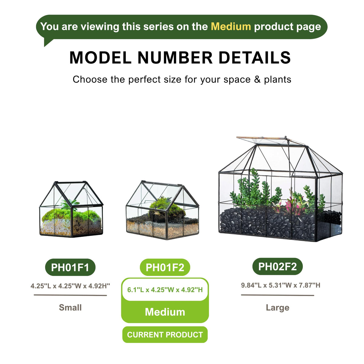 NCYP tabletop geometric terrarium complements modern home decor.