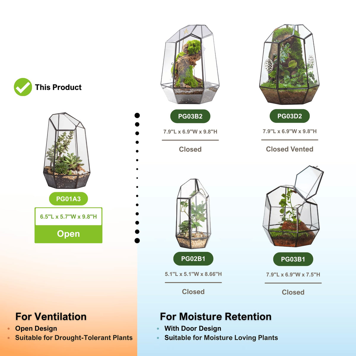 NCYP tabletop indoor garden terrarium enhances office decor.