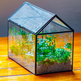 NCYP terrarium dimensions 10.2 x 5.9 x 8.2 inches for tabletop display