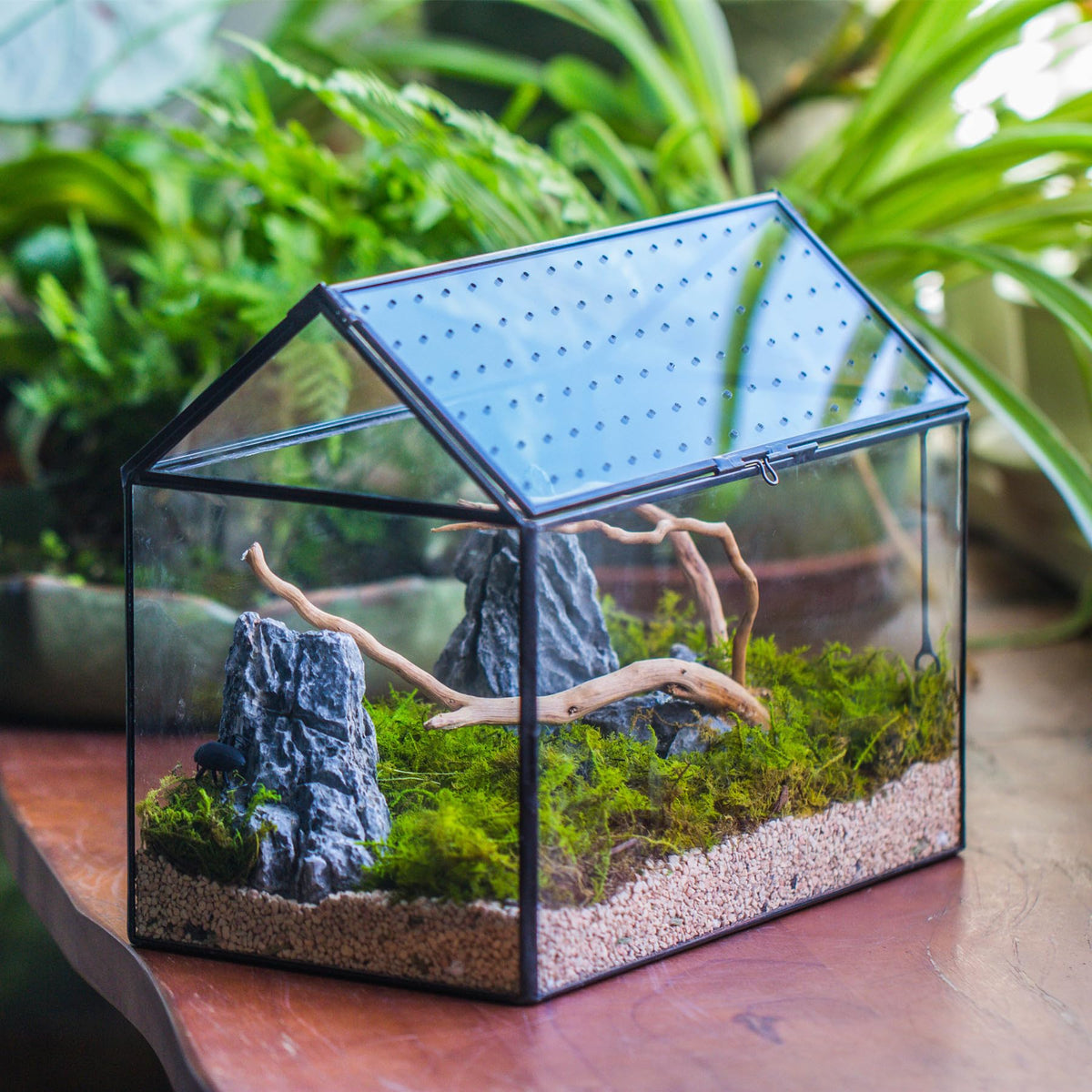 NCYP terrarium suitable for insects from garden or park