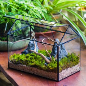NCYP terrarium not designed to hold standing water; misting recommended