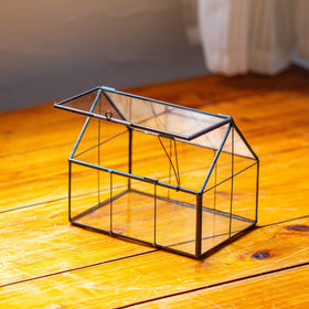 NCYP compact desk decor elevates greenery without crowding.