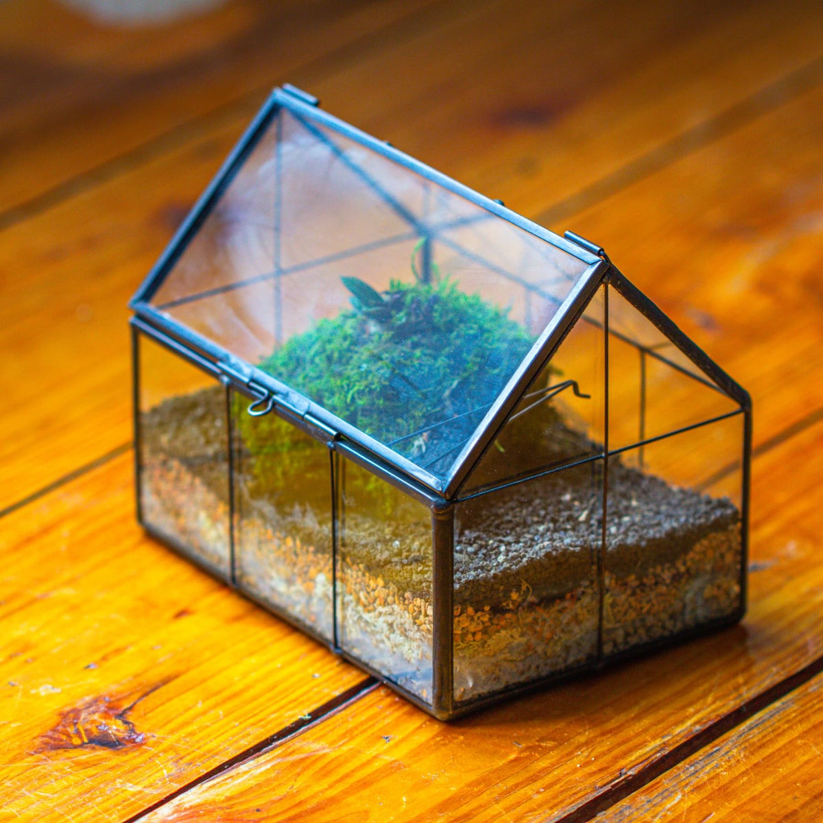 NCYP terrarium centerpieces for weddings create stylish, memorable tables.
