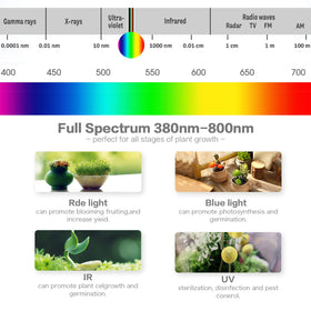 Necgemlex 17W LED bulbs deliver energy-efficient plant illumination