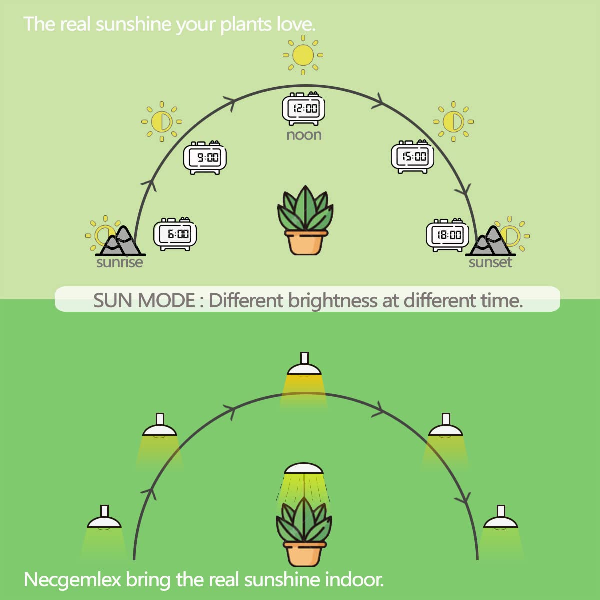 Necgemlex built in auto timer enabling consistent daily light cycles