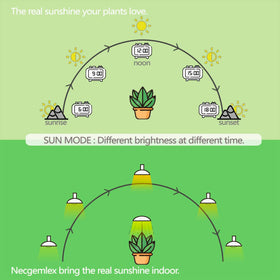 Necgemlex built in auto timer enabling consistent daily light cycles