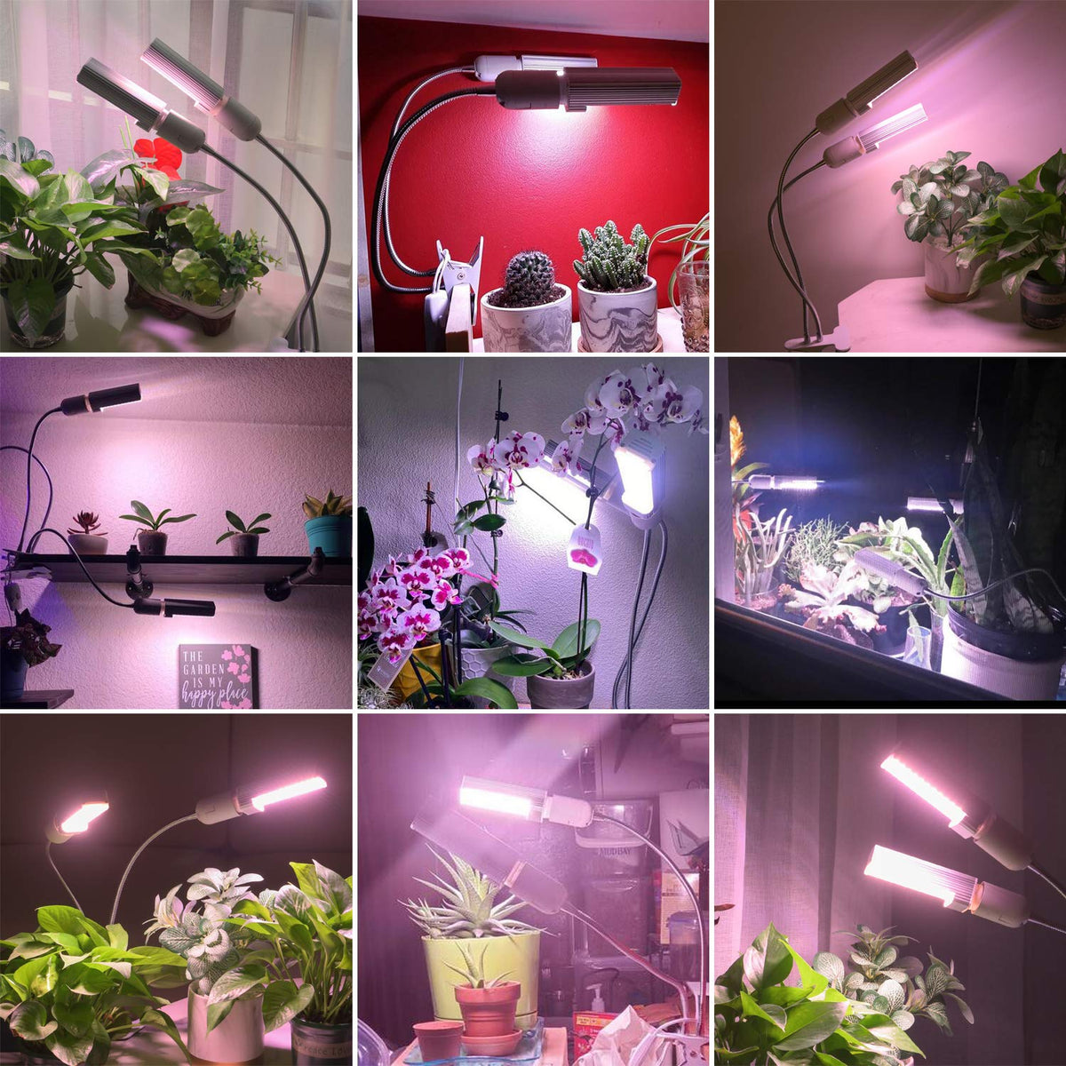 Necgemlex flowering plants thrive with full-spectrum illumination