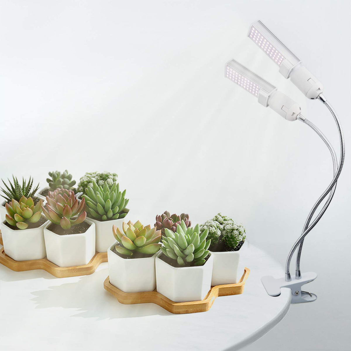 Necgemlex indoor vegetable growth setup under sun-like spectrum