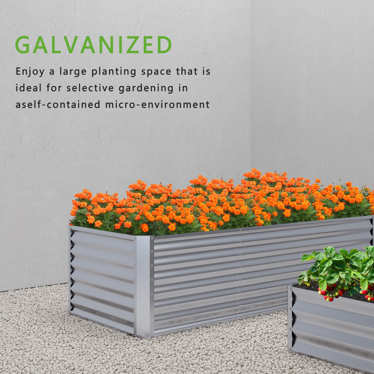 Nedenyou ample planting space supports vegetables, herbs, and flowers