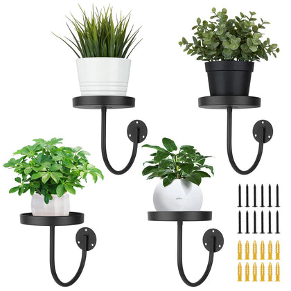 Neiteli 4-pack wall planter brackets displaying greenery with a space-saving design.
