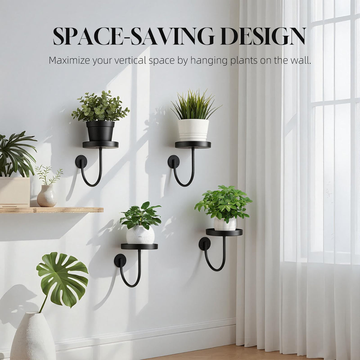 Neiteli wall planter hangers in matte black finish supporting indoor greenery.