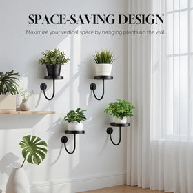 Neiteli wall planter hangers in matte black finish supporting indoor greenery.
