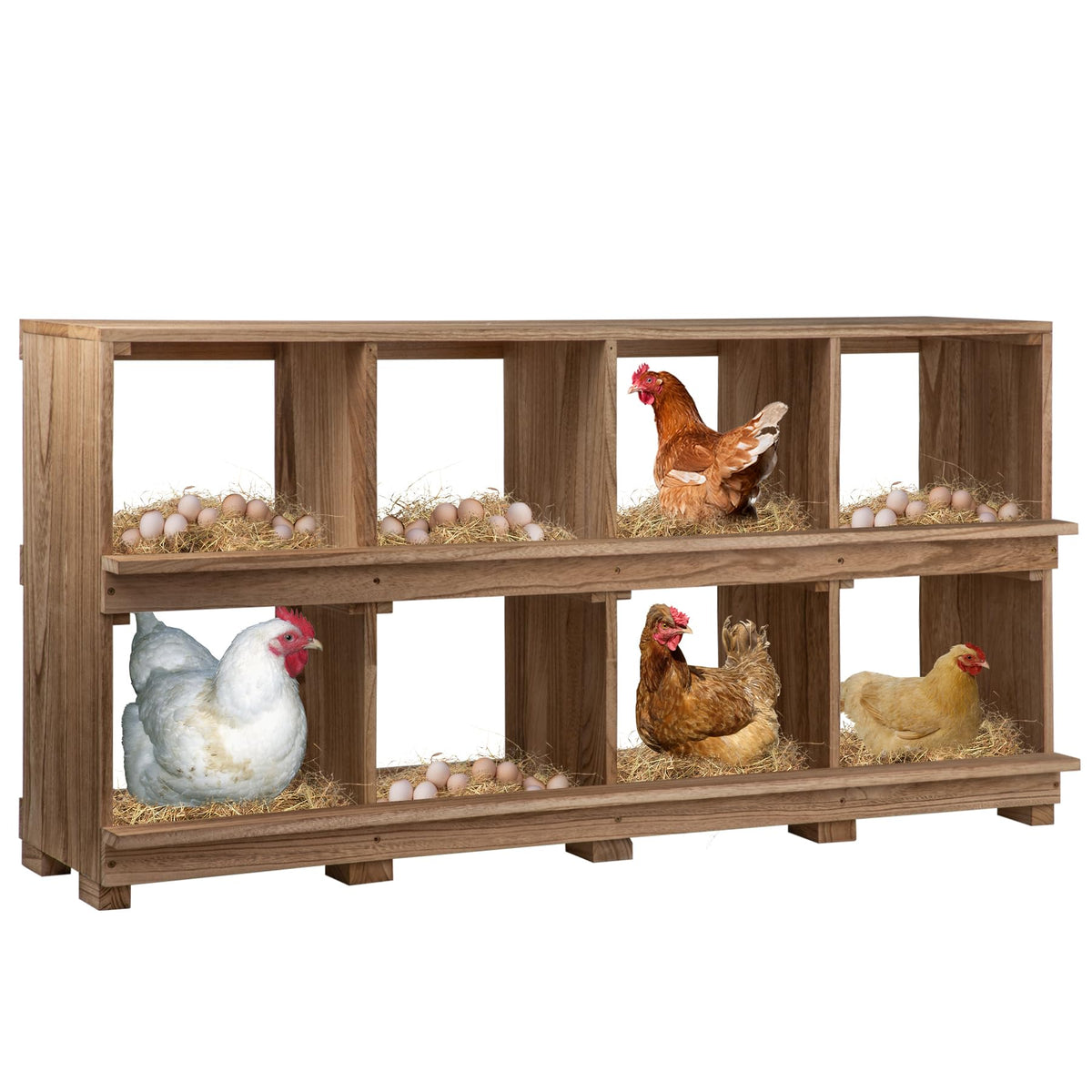 Neoaider 8-compartment nesting box — spacious layout for organized egg collection.