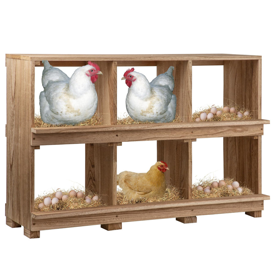Neoaider 6-compartment wall-mounted nesting box keeps eggs secure and coop tidy