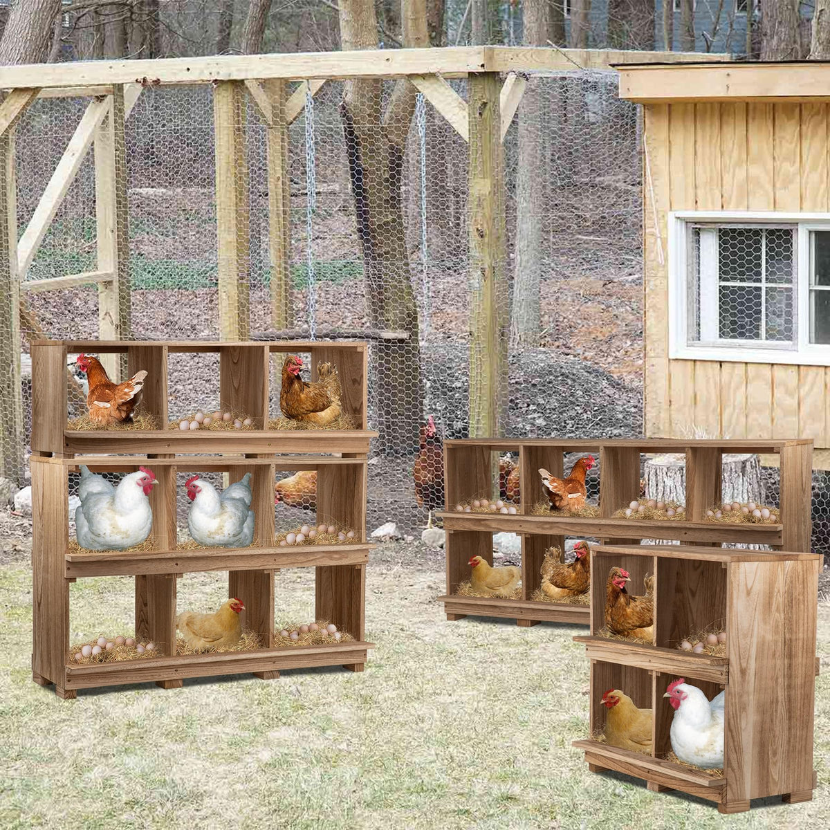 Neoaider ventilated nesting box with front and rear ventilation for a dry interior