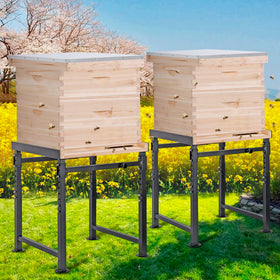 Neorexon two-pack hive stands support multiple hives in a single setup.