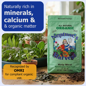 Neptune's Harvest Kelp Meal dry form enables simple garden soil enrichment.