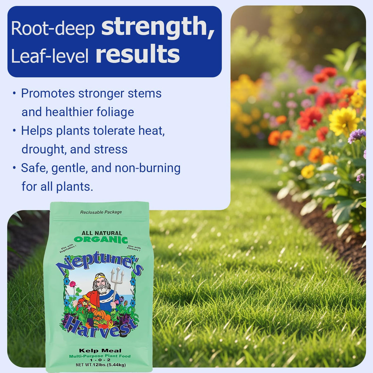 Neptune's Harvest Kelp Meal applies to indoor and outdoor use in gardens.