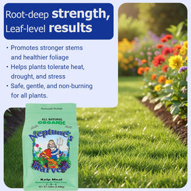 Neptune's Harvest Kelp Meal applies to indoor and outdoor use in gardens.