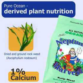 Neptune's Harvest Kelp Meal image highlighting improved soil health and moisture balance.