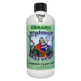 Neptune’s Harvest Seaweed Plant Food bottle supports healthy indoor and outdoor growth.
