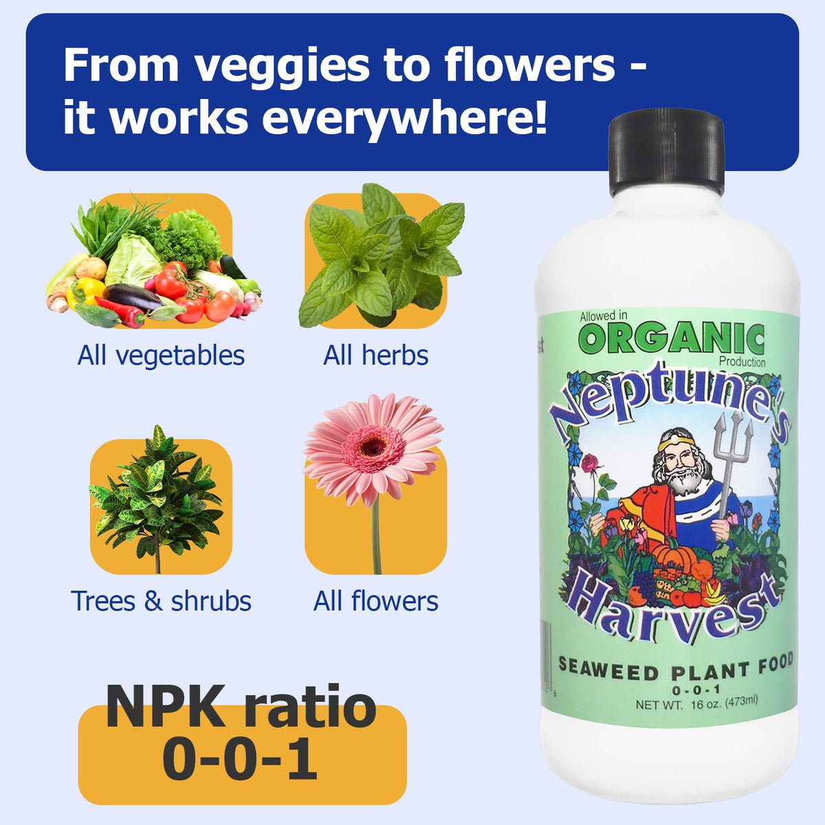 Foliar spray onto foliage using Neptune’s Harvest Seaweed Plant Food.