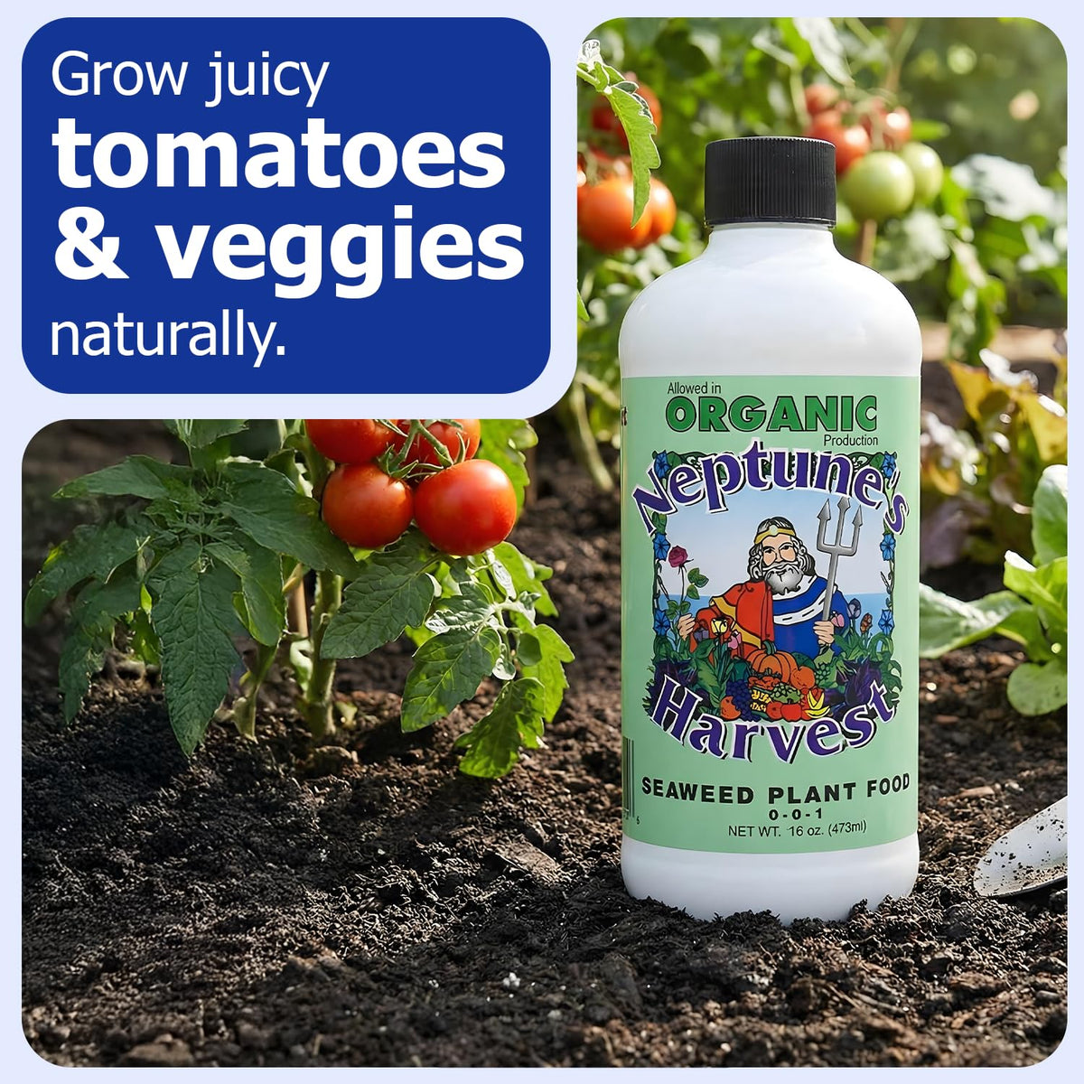 Garden vegetables benefit from Neptune’s Harvest Seaweed Plant Food and healthy soil.