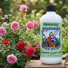 Houseplants thrive with balanced nutrition from Neptune’s Harvest Seaweed Plant Food.