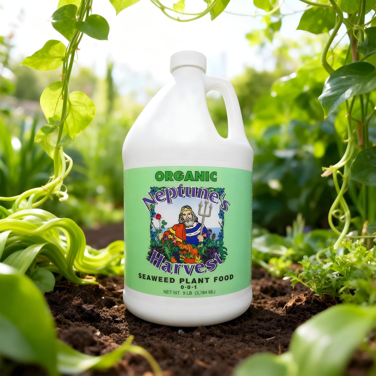 Lawn application of Neptune’s Harvest Seaweed Plant Food for broad coverage