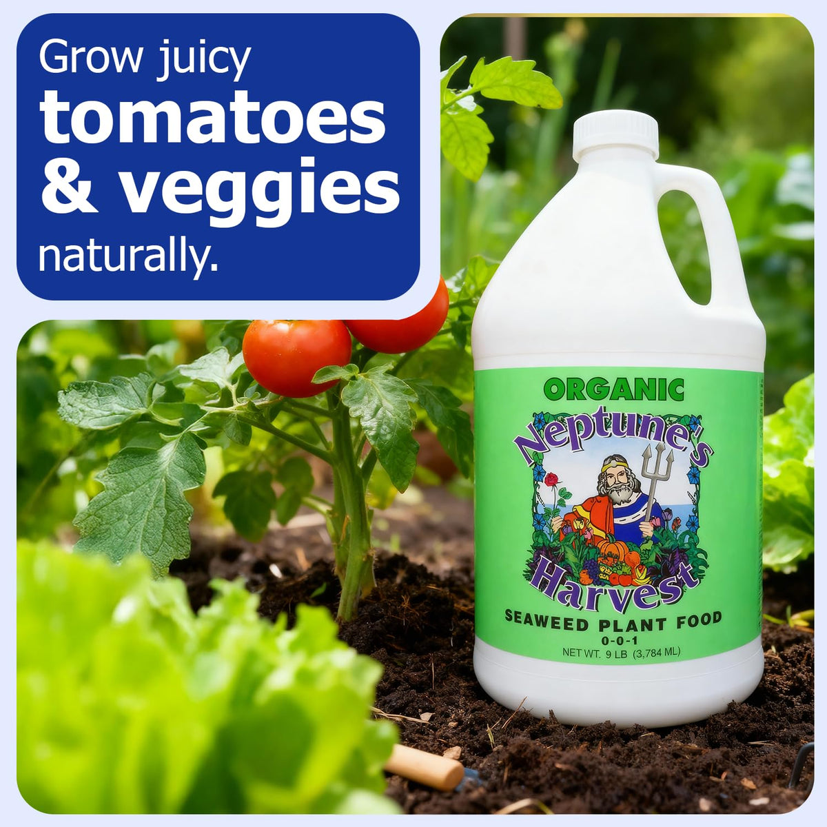 Outdoor garden bed receiving Neptune’s Harvest Seaweed Plant Food for vegetables and flowers