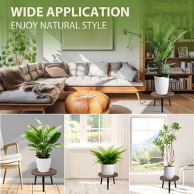 Neracking circular wood plant stand integrated into living room setup for stylish greenery