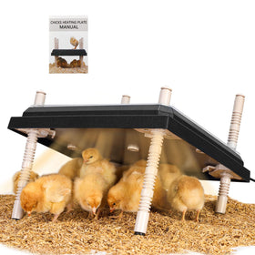NesCozy brooder plate with adjustable legs for flexible chick height and comfort.