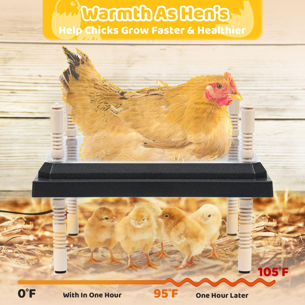 NesCozy brooder plate provides radiant heat to keep chicks warm.