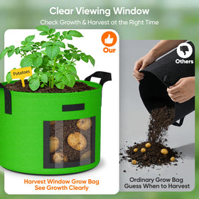 Five-color NESSTU set helps organize crops across a balcony garden.