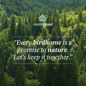 Nestingood versatile birdhouse for family friendly nature projects.