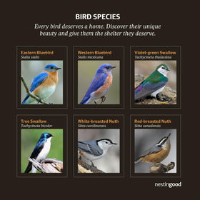 Nestingood predator guard protects nesting birds while observing safely.