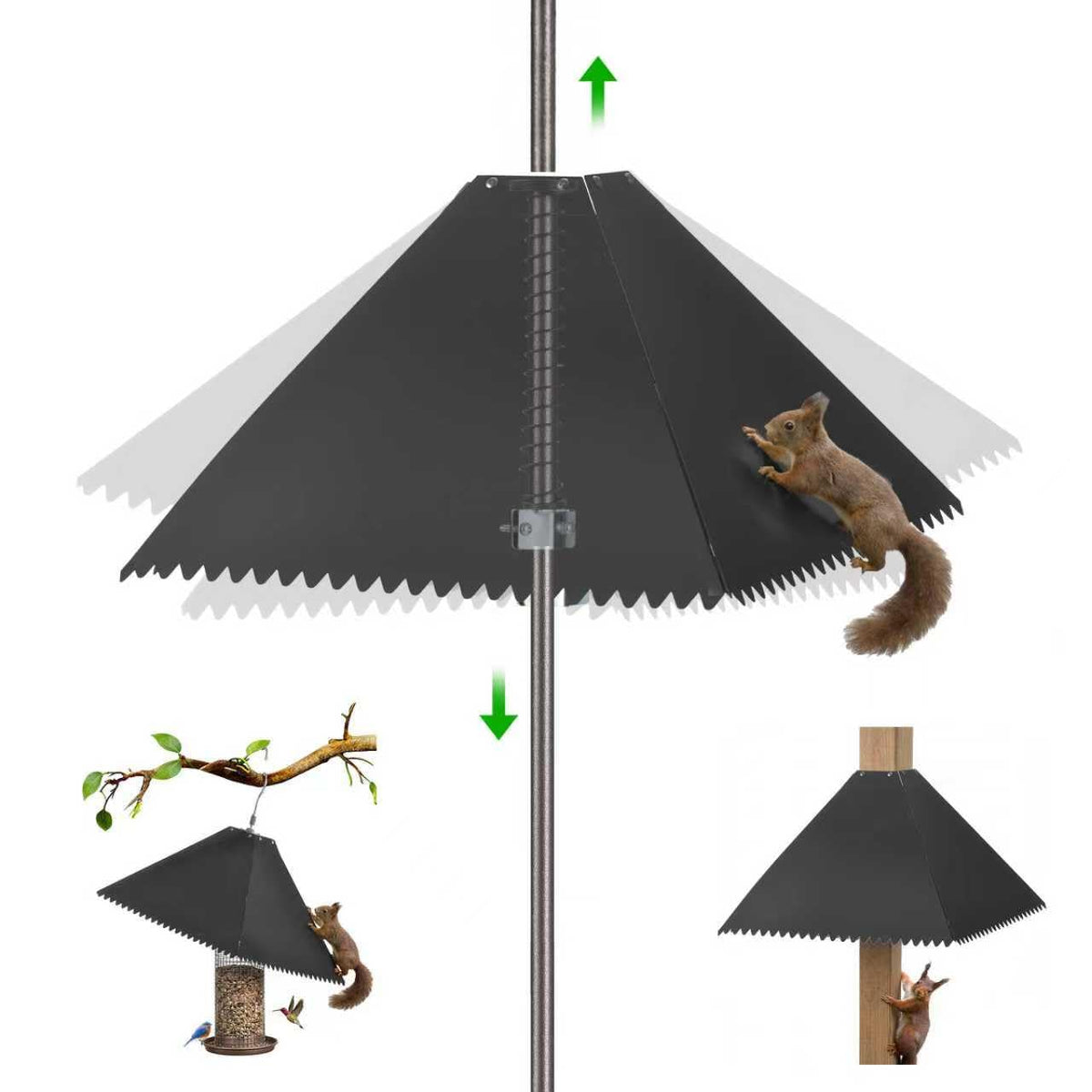 NestShld squirrel baffle upper view shows solid metal protection for feeders