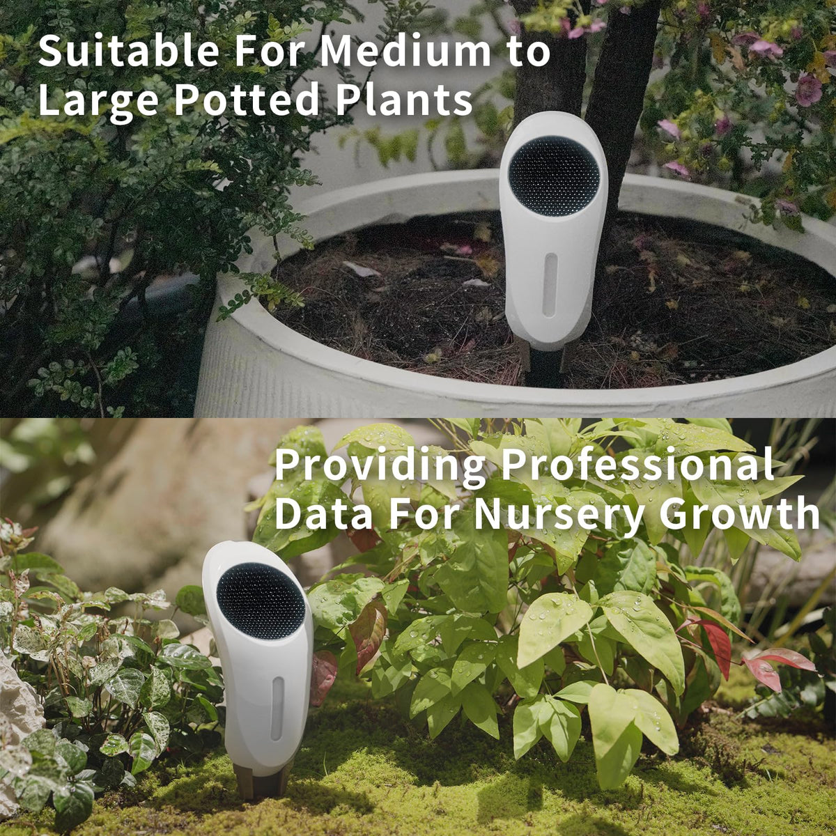 Netro Whisperer plant library provides humidity and light guidance.