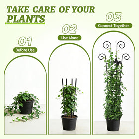 Netuaoo indoor outdoor use suited for multiple spaces and plants.