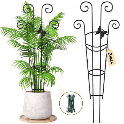 Netuaoo two-pack plant trellis assembly for easy setup and upward growth.