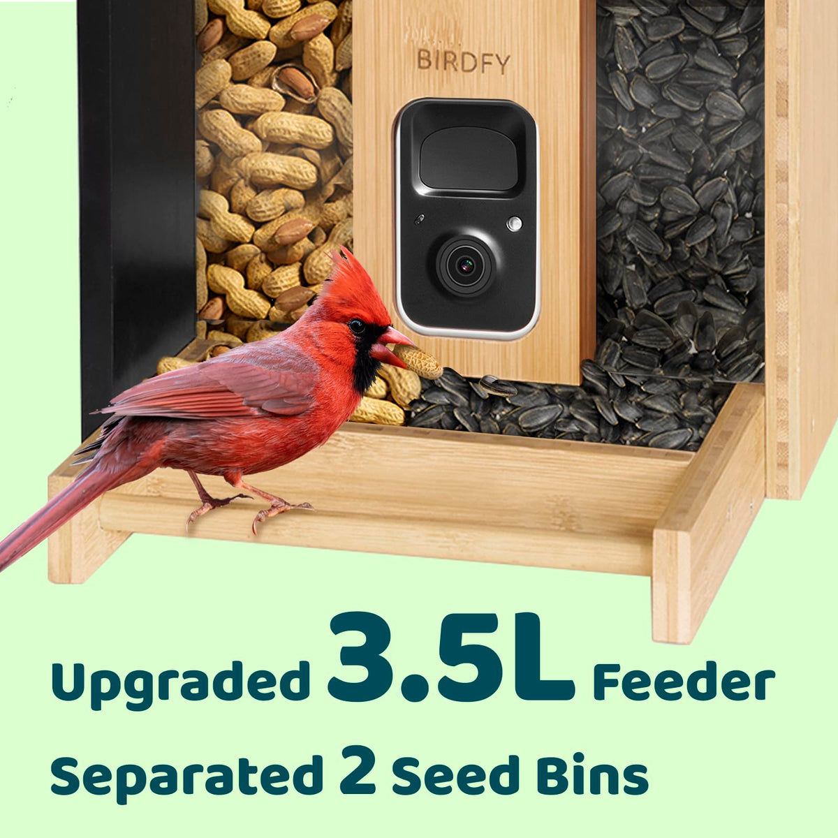 NETVUE Bamboo Bird Feeder app interface displaying AI bird identification.