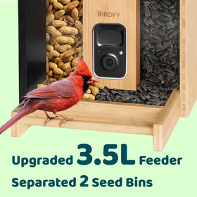 NETVUE Bamboo Bird Feeder app interface displaying AI bird identification.